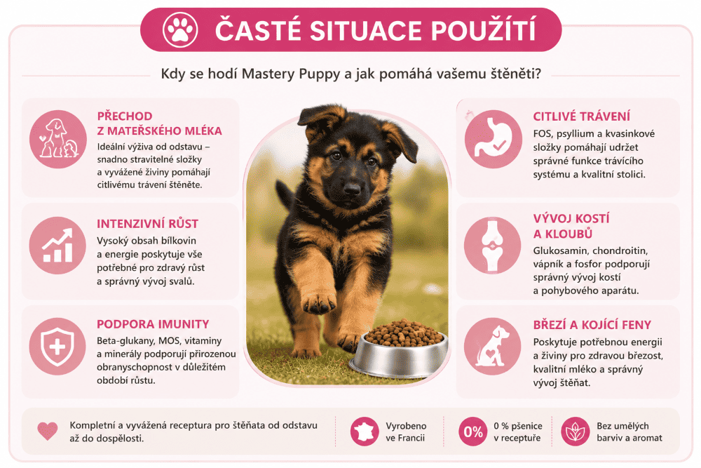 Infografika péče o štěně s Mastery Puppy